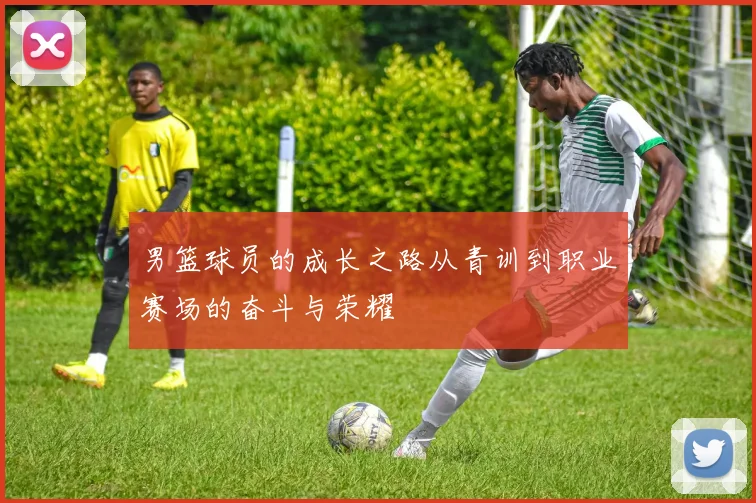 男篮球员的成长之路从青训到职业赛场的奋斗与荣耀