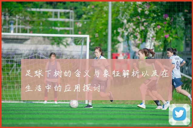 足球下树的含义与象征解析以及在生活中的应用探讨