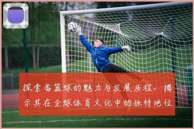 探索番篮球的魅力与发展历程，揭示其在全球体育文化中的独特地位与影响力