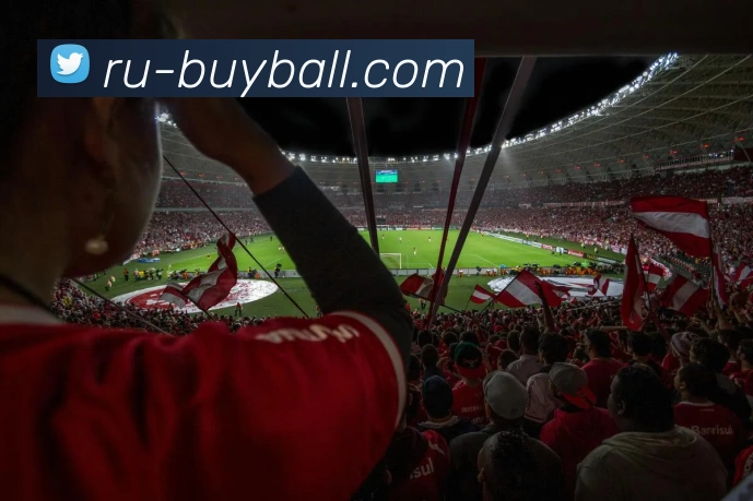 足球压球网平台生态图